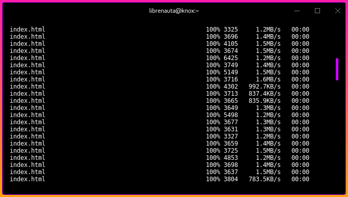 screenshot de una terminal copiando los archivos